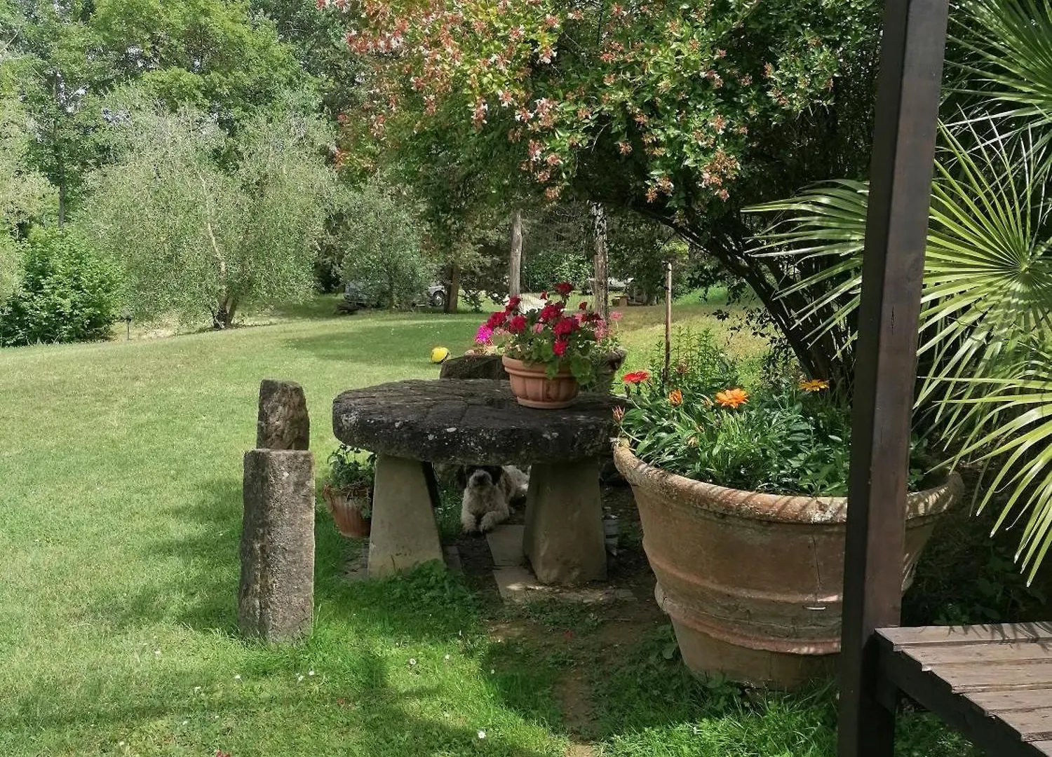 Agriturismo Campolungo Sant'Ermo