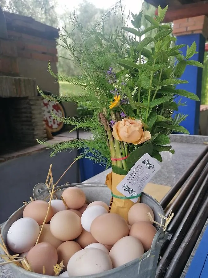 Farm stay Agriturismo Campolungo Sant'Ermo Italy